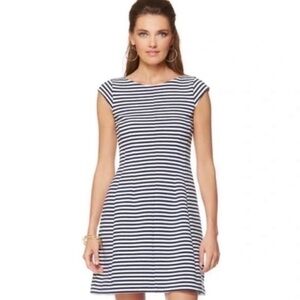 Lilly Pulitzer Blue and White Striped Dress